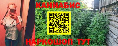 спиды Будённовск