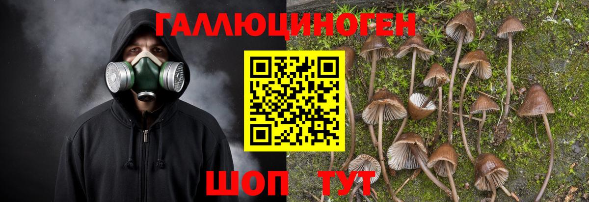 Псилоцибиновые грибы ЛСД Щёлково